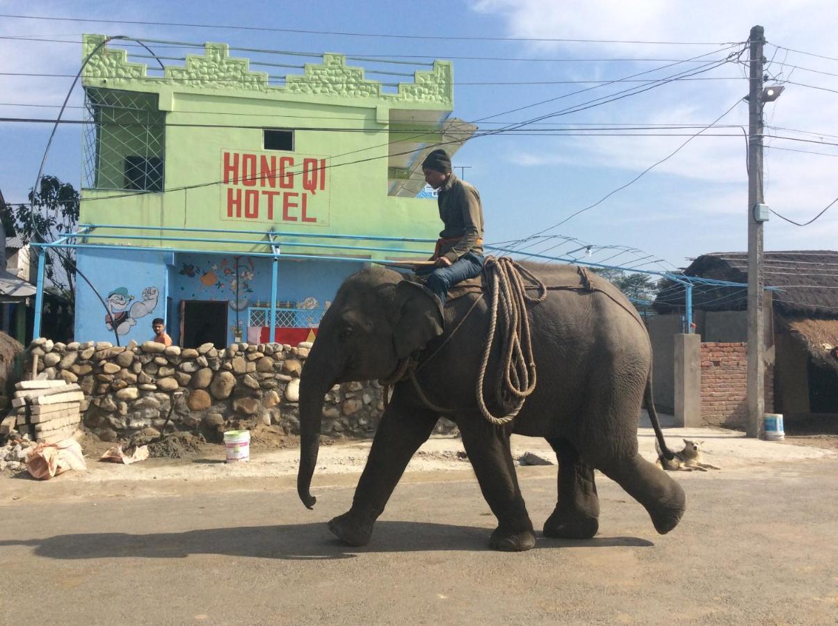 Hong Qi Hotel Chitwan Exterior photo